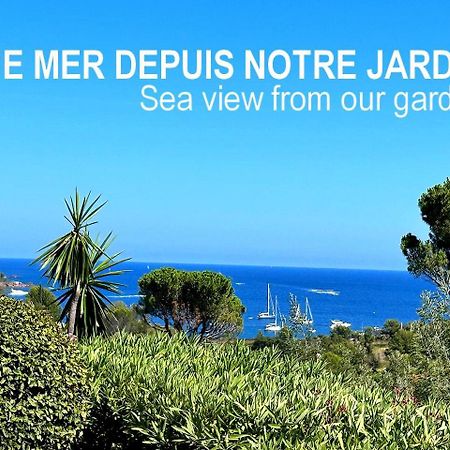 Dans Un Cadre D'Exception, Vue Mer Panoramique A Agay Cote D'Azur, Village Vacances Cap Esterel, T2 Avec Jardin, Golf, Climatisation, Wifi, 5 Piscines Saint-Raphaël Exteriör bild