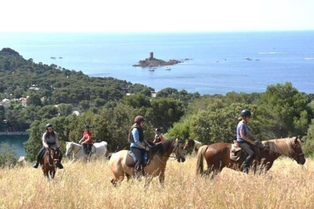Dans Un Cadre D'Exception, Vue Mer Panoramique A Agay Cote D'Azur, Village Vacances Cap Esterel, T2 Avec Jardin, Golf, Climatisation, Wifi, 5 Piscines Saint-Raphaël Exteriör bild